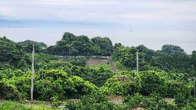 Photo from 2025/6/14