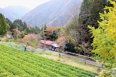 Photo from 2024/11/10