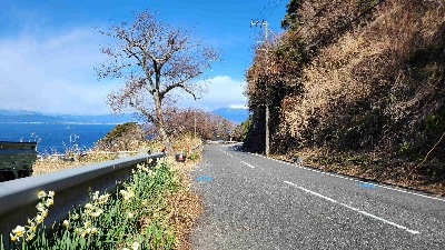 Photo from 2024/1/24