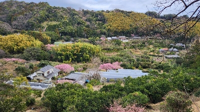 Photo from 2024/2/17