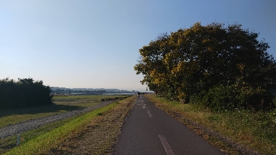 Photo from 2019/11/15