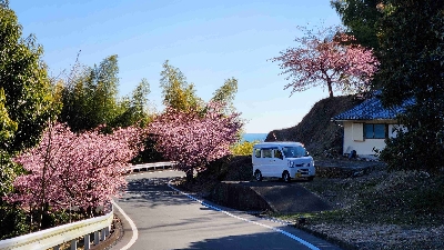 Photo from 2024/2/12