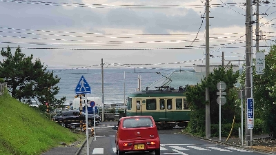 Photo from 2024/6/23