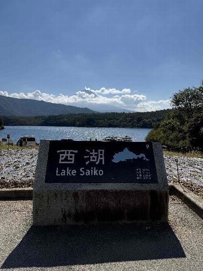 Photo from 2024/10/13