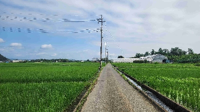 Photo from 2025/7/12