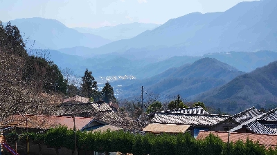 Photo from 2025/3/23