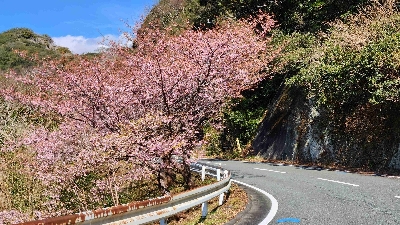 Photo from 2024/1/28