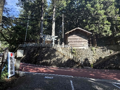 Photo from 2025/7/26