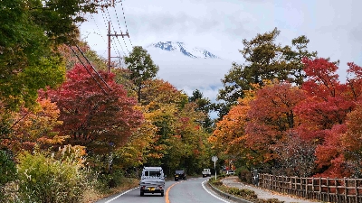 Photo from 2025/11/5