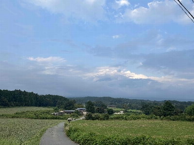 Photo from 2025/8/31