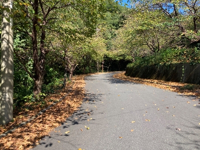 Photo from 2023/9/30