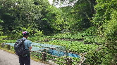 Photo from 2024/5/12