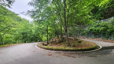 Photo from 2023/6/10