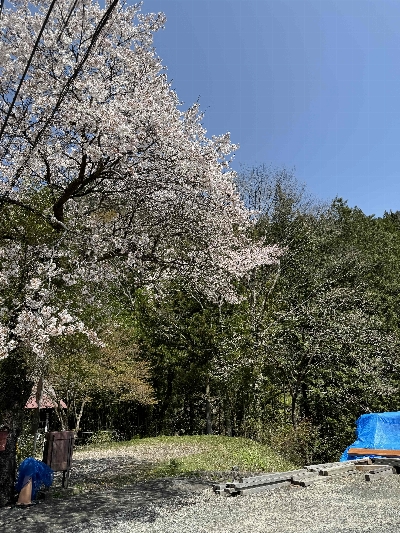 Photo from 2024/4/14