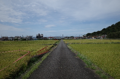 Photo from 2025/9/22