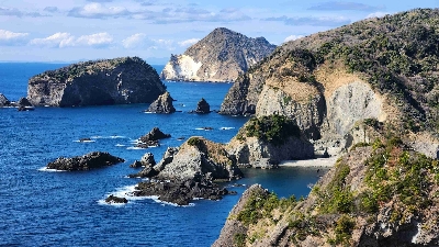 Photo from 2024/1/28