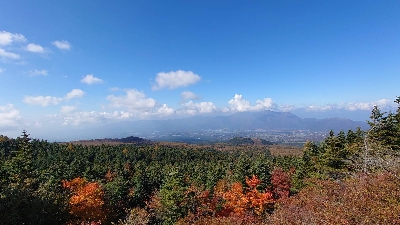 Photo from 2023/10/28