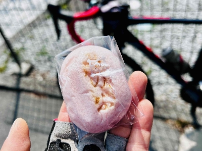 Photo from 2026/3/29