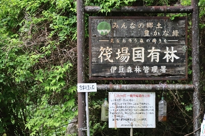 Photo from 2024/5/12