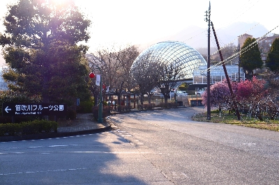 Photo from 2025/3/23