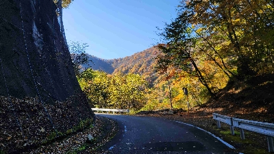 Photo from 2025/11/7