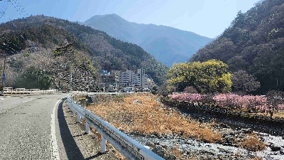 Photo from 2024/3/16