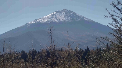 Photo from 2025/11/7