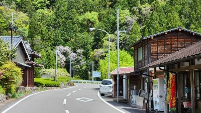 Photo from 2023/4/29