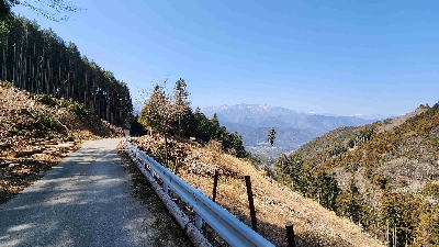 Photo from 2024/3/16