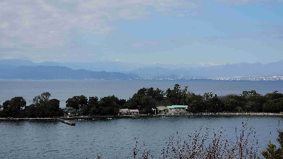 Photo from 2025/1/18