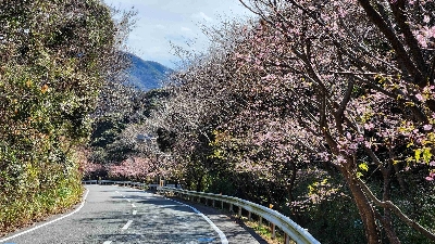 Photo from 2024/1/28