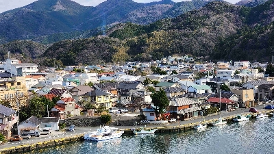 Photo from 2024/1/28