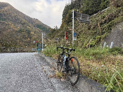 Photo from 2024/11/9