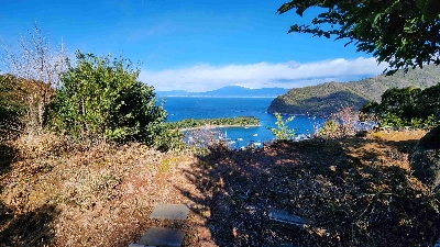 Photo from 2024/1/24