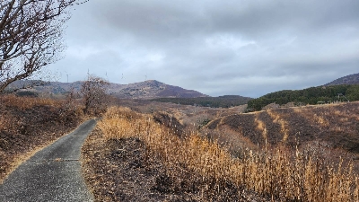 Photo from 2024/2/17