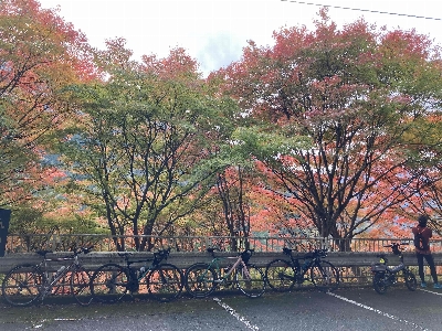 Photo from 2024/11/10