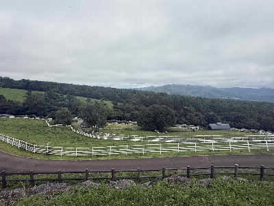 Photo from 2025/8/16