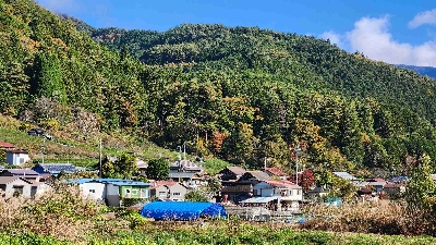 Photo from 2024/11/21