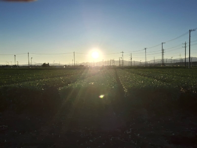 Photo from 2017/10/30