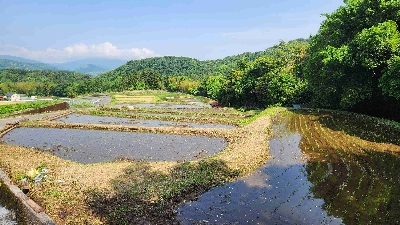 Photo from 2025/5/19