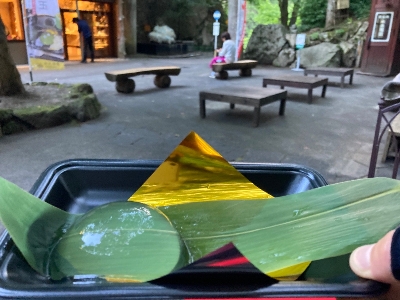 Photo from 2023/7/30