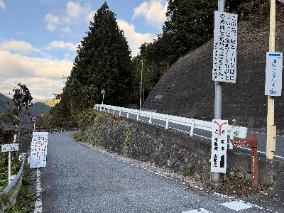 Photo from 2024/11/9