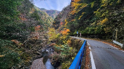 Photo from 2025/11/24