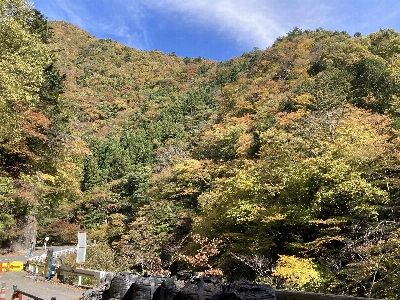 Photo from 2024/11/10