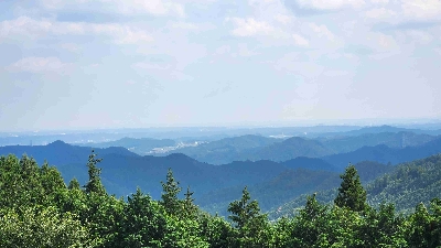 Photo from 2024/8/13