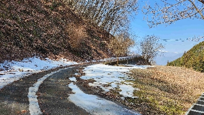 Photo from 2024/3/16