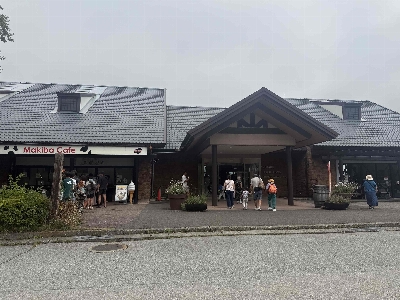 Photo from 2025/8/16