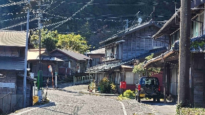 Photo from 2024/11/21