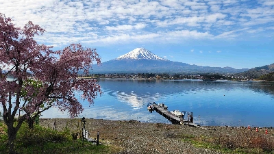 Photo from 2026/4/13