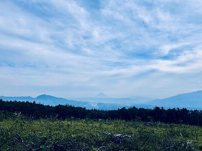 Photo from 2025/10/12